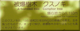 Moto-machi Police Box: Camphor plaque